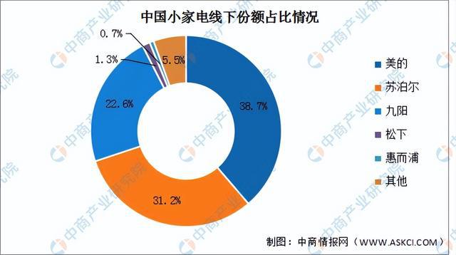 2022年中国小家电JDB电子 JDB夺宝电子行业市场前景及研究预测报告(图9)